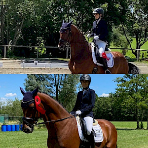 Reiterkameradschaft Schmalegg hat zum Turnier eingeladen